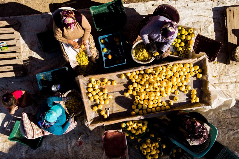 Cennet elmaları kurutularak bir mahalleyi geçindiriyor