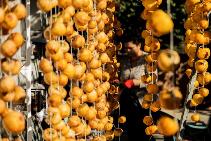 Cennet elmaları kurutularak bir mahalleyi geçindiriyor