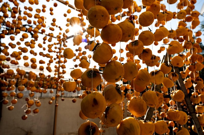 Cennet elmaları kurutularak bir mahalleyi geçindiriyor