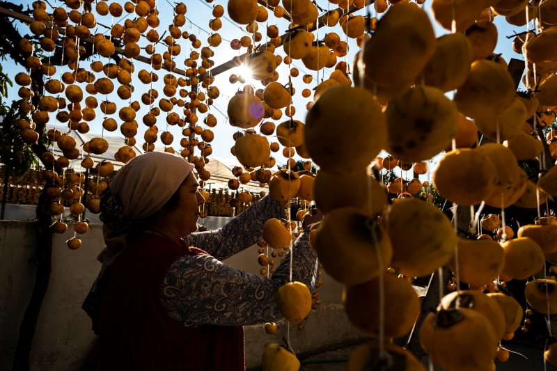 Cennet elmaları kurutularak bir mahalleyi geçindiriyor