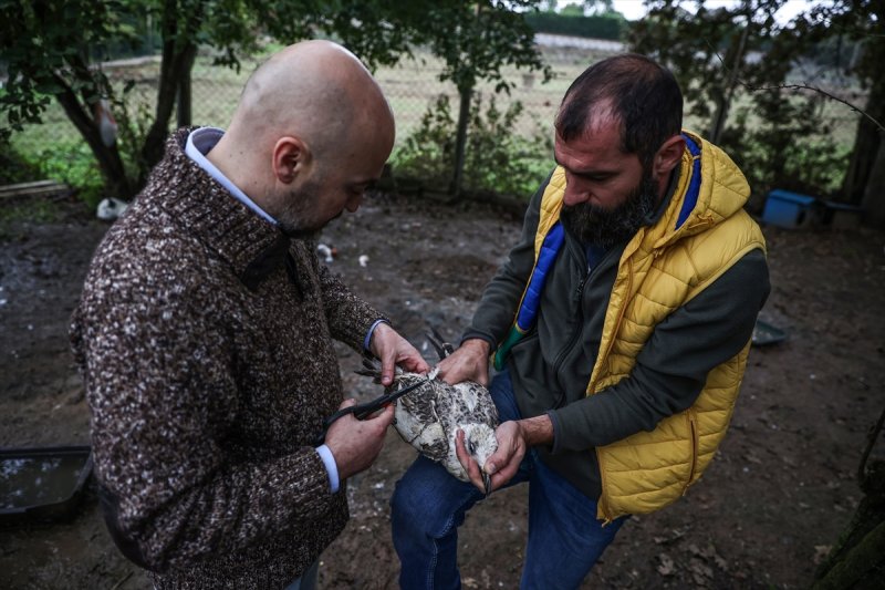 Sokaktan kurtardığı onlarca hayvan için İstanbul'dan köye taşındı