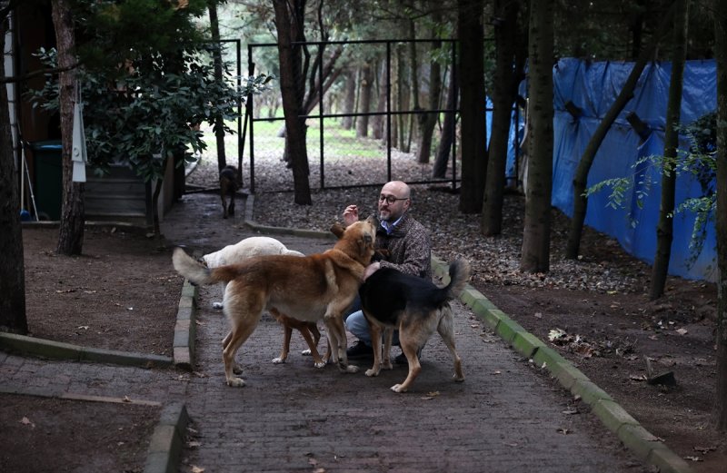 Sokaktan kurtardığı onlarca hayvan için İstanbul'dan köye taşındı