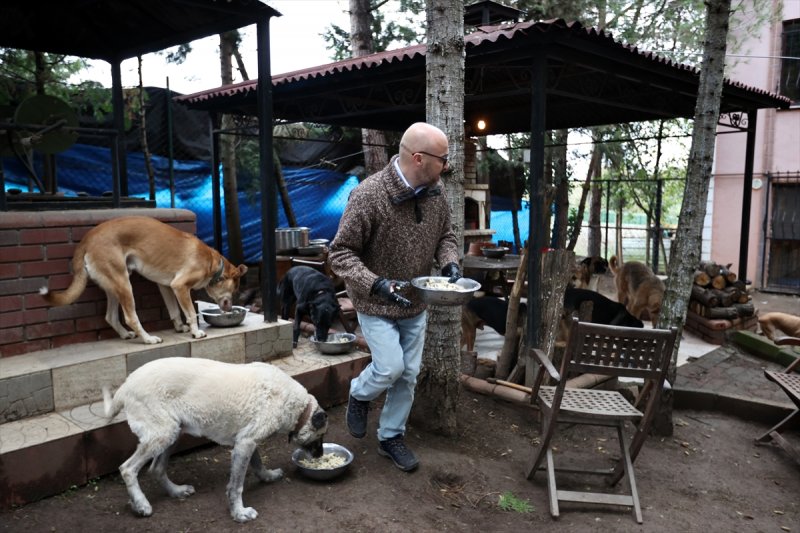 Sokaktan kurtardığı onlarca hayvan için İstanbul'dan köye taşındı