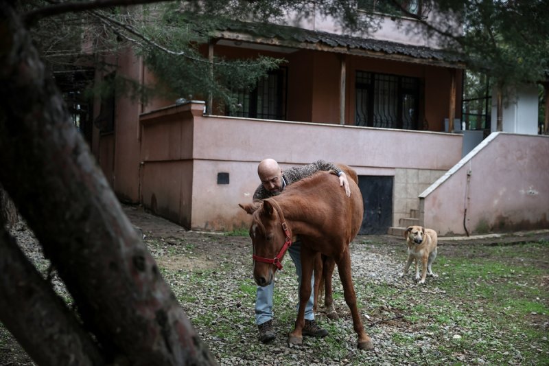 Sokaktan kurtardığı onlarca hayvan için İstanbul'dan köye taşındı