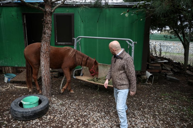 Sokaktan kurtardığı onlarca hayvan için İstanbul'dan köye taşındı