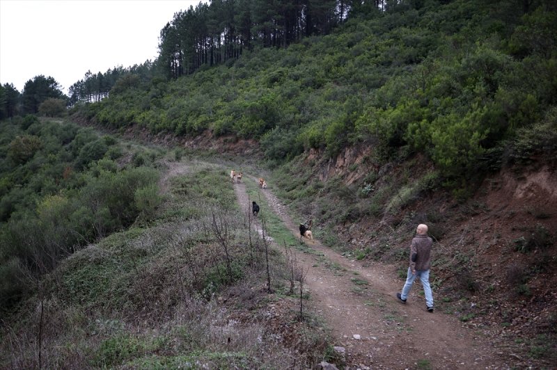 Sokaktan kurtardığı onlarca hayvan için İstanbul'dan köye taşındı