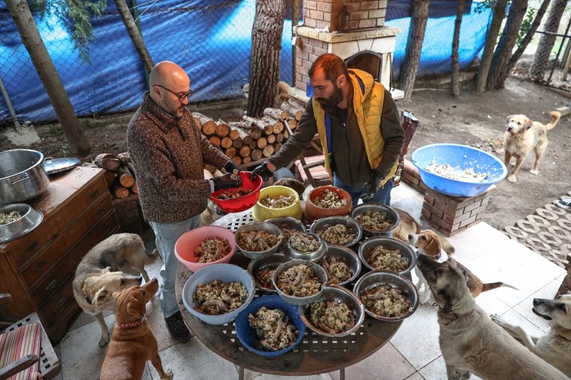 Sokaktan kurtardığı onlarca hayvan için İstanbul'dan köye taşındı