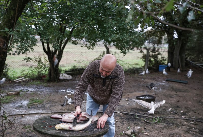 Sokaktan kurtardığı onlarca hayvan için İstanbul'dan köye taşındı