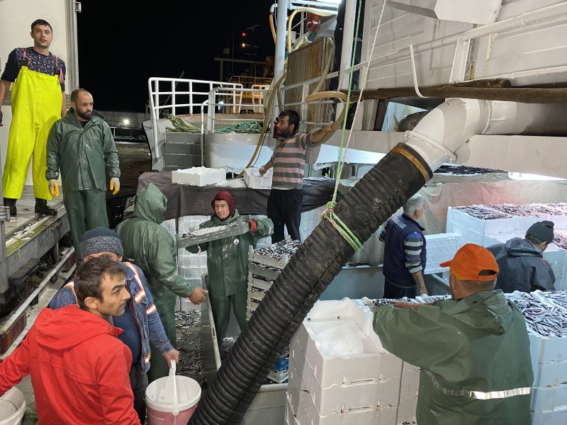 Karadeniz'den kasa kasa hamsi çıktı