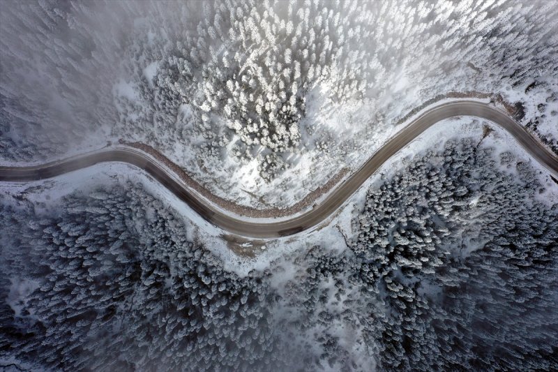 Ilgaz Dağı, kar yağışıyla beyaza büründü