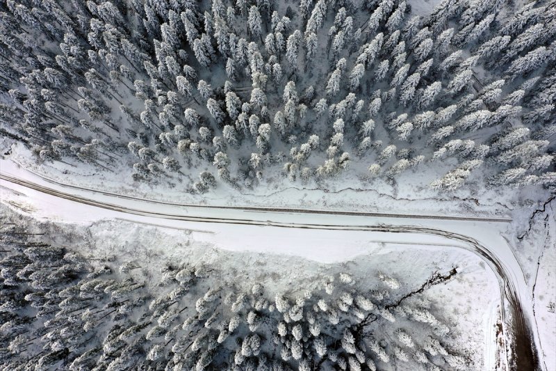 Ilgaz Dağı, kar yağışıyla beyaza büründü