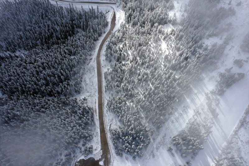 Ilgaz Dağı, kar yağışıyla beyaza büründü
