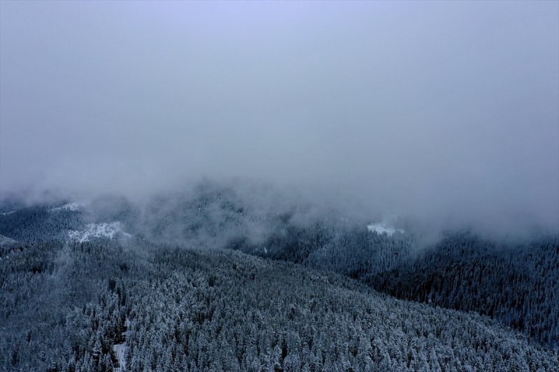 Ilgaz Dağı, kar yağışıyla beyaza büründü