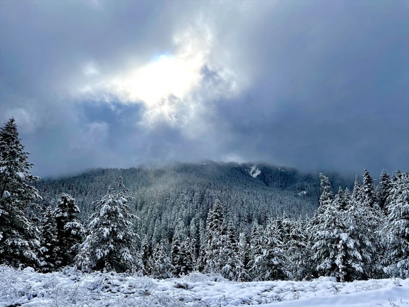 Ilgaz Dağı, kar yağışıyla beyaza büründü