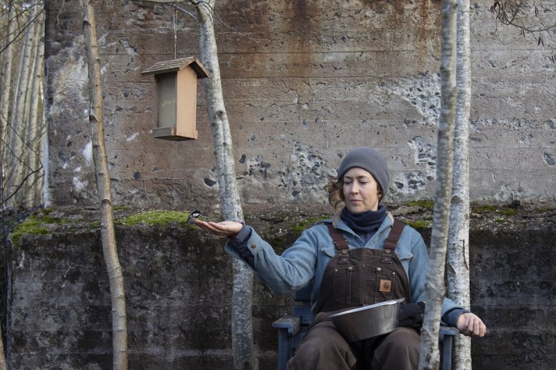 İsveç'te yüksek maliyetli emlak piyasasına meydan okuyan tiny house'lar