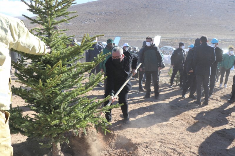 Milli Ağaçlandırma gününde yurt genelinde fidan dikimi yapıldı