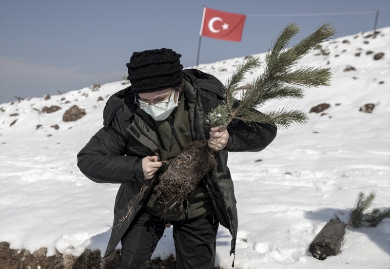 Milli Ağaçlandırma gününde yurt genelinde fidan dikimi yapıldı