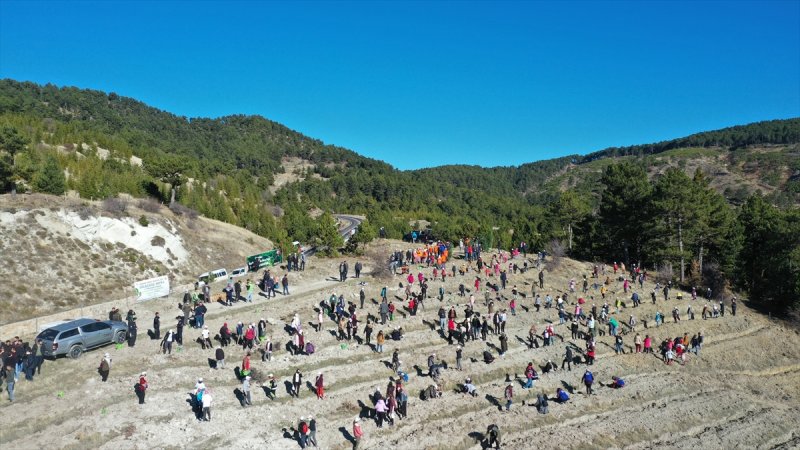 Milli Ağaçlandırma gününde yurt genelinde fidan dikimi yapıldı