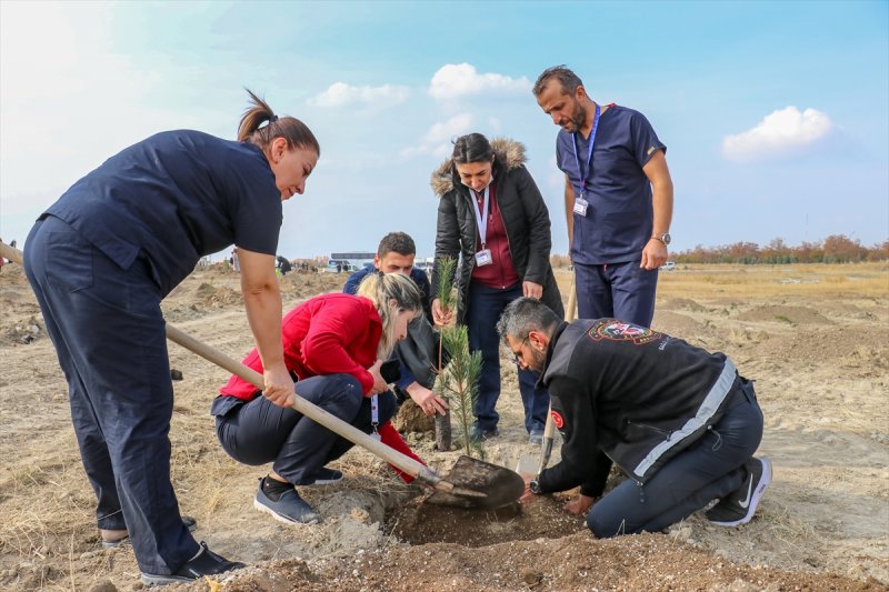 Milli Ağaçlandırma gününde yurt genelinde fidan dikimi yapıldı
