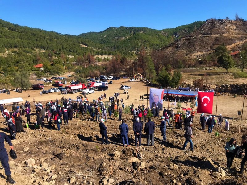 Milli Ağaçlandırma gününde yurt genelinde fidan dikimi yapıldı