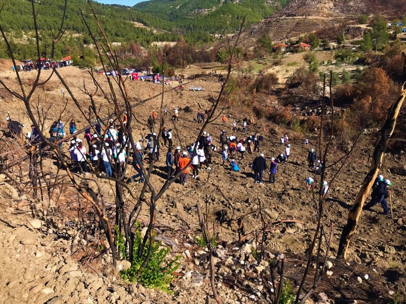 Milli Ağaçlandırma gününde yurt genelinde fidan dikimi yapıldı