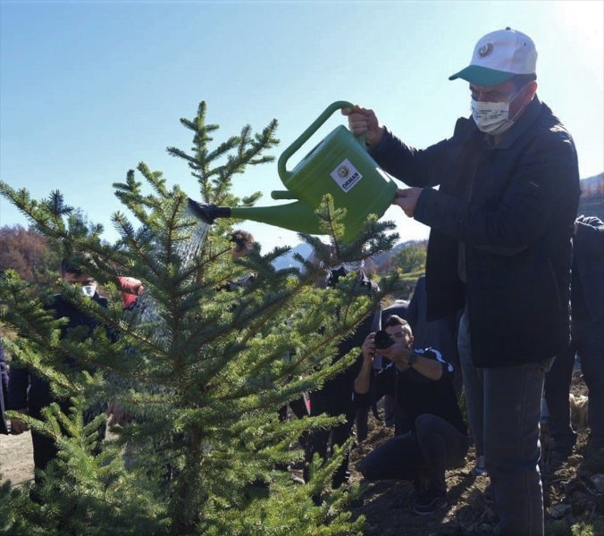 Milli Ağaçlandırma gününde yurt genelinde fidan dikimi yapıldı