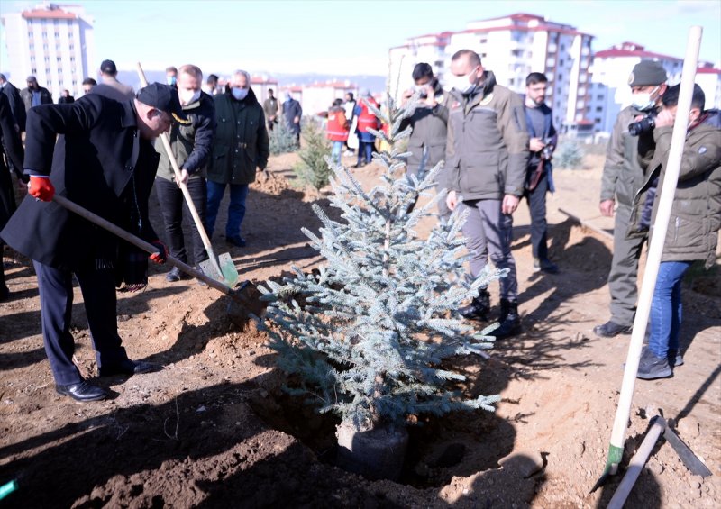 Milli Ağaçlandırma gününde yurt genelinde fidan dikimi yapıldı