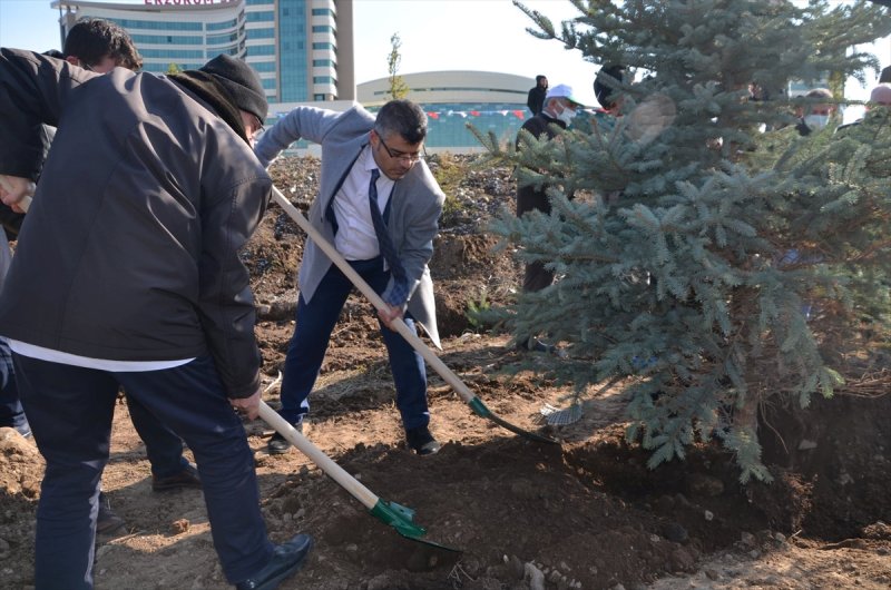 Milli Ağaçlandırma gününde yurt genelinde fidan dikimi yapıldı