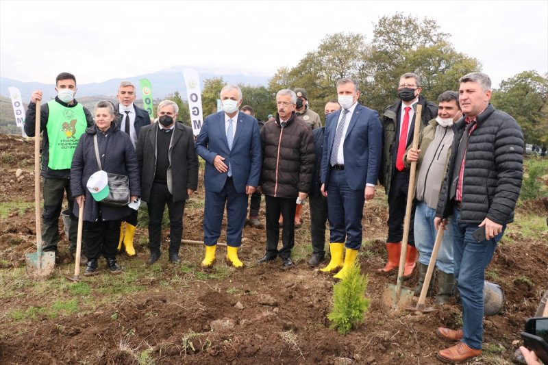 Milli Ağaçlandırma gününde yurt genelinde fidan dikimi yapıldı