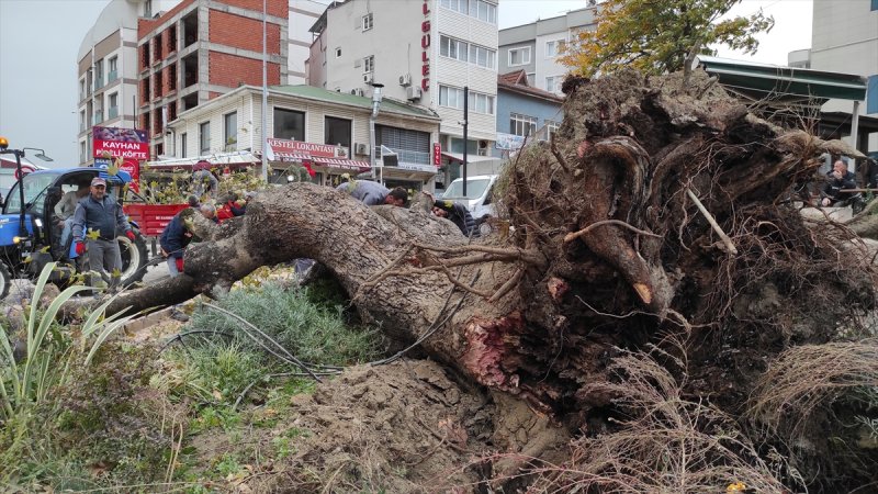 Ülkenin kıyı kesimlerinden lodos manzaraları