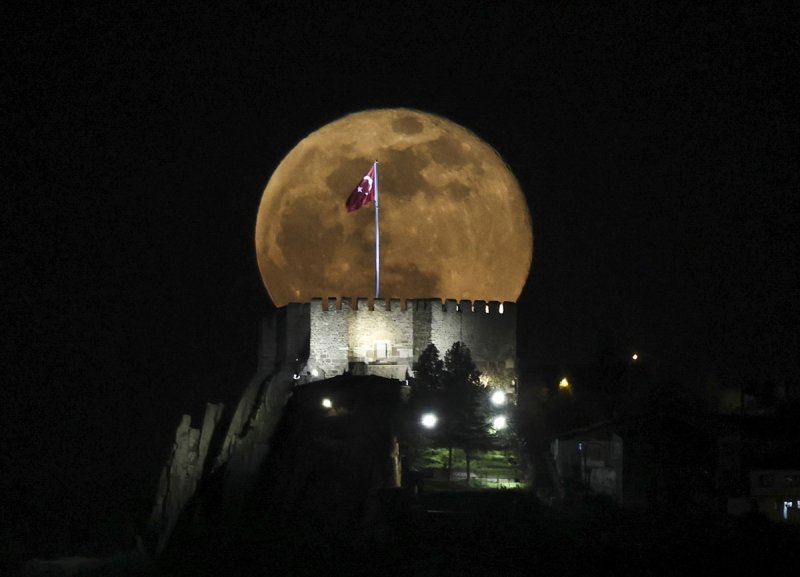 Anadolu Ajansı 2021 yılının fotoğraflarını belirledi