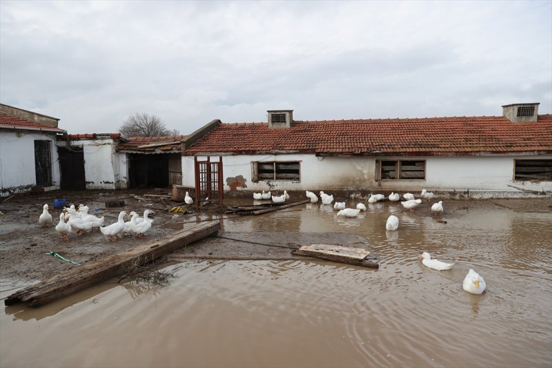 Edirne'yi vuran sel hayatı olumsuz etkiledi