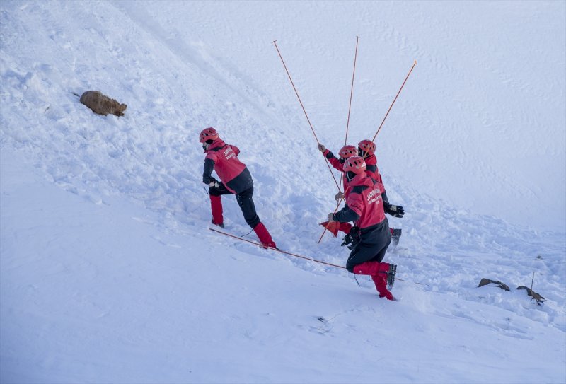 Mehmetçik Palandöken Dağı'nda çığ tatbikatı gerçekleştirdi