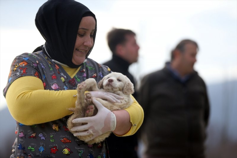 Düzce'de sokak hayvanları için 10 bin metrekarelik açık yaşam alanı