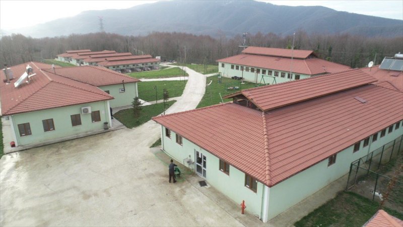 Düzce'de sokak hayvanları için 10 bin metrekarelik açık yaşam alanı