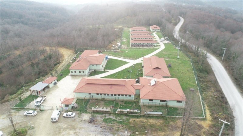 Düzce'de sokak hayvanları için 10 bin metrekarelik açık yaşam alanı