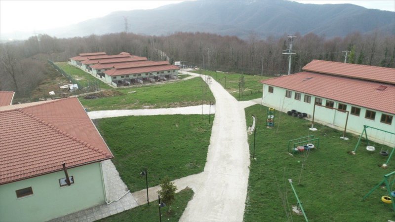 Düzce'de sokak hayvanları için 10 bin metrekarelik açık yaşam alanı
