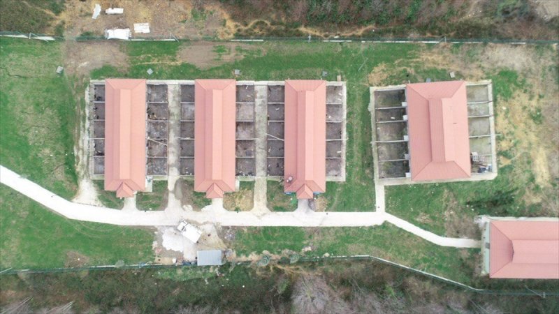 Düzce'de sokak hayvanları için 10 bin metrekarelik açık yaşam alanı