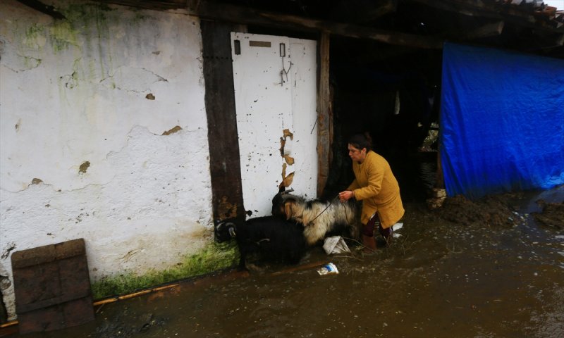 Muğla'da şiddetini arttıran sağanak yağış taşkınlara sebep oldu
