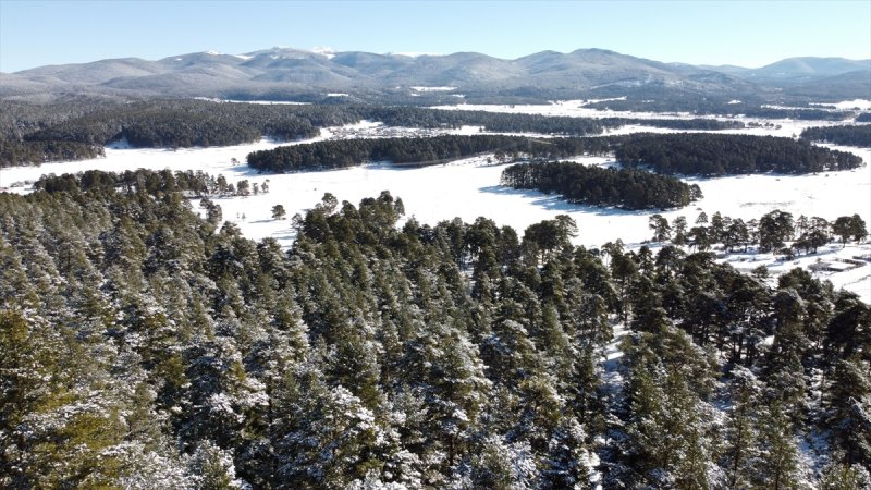 Bolu'da yağan kar görsel şölen oluşturdu