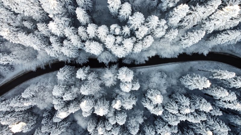 Bolu'da yağan kar görsel şölen oluşturdu