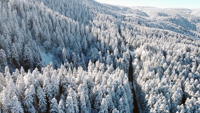 Bolu'da yağan kar görsel şölen oluşturdu