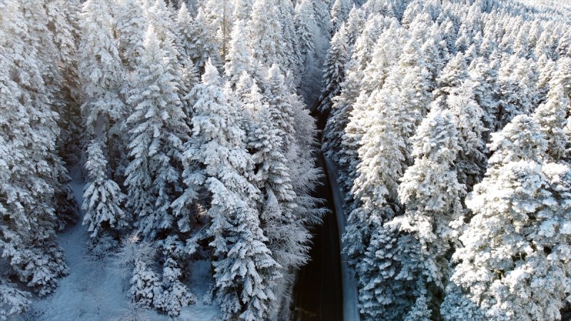 Bolu'da yağan kar görsel şölen oluşturdu