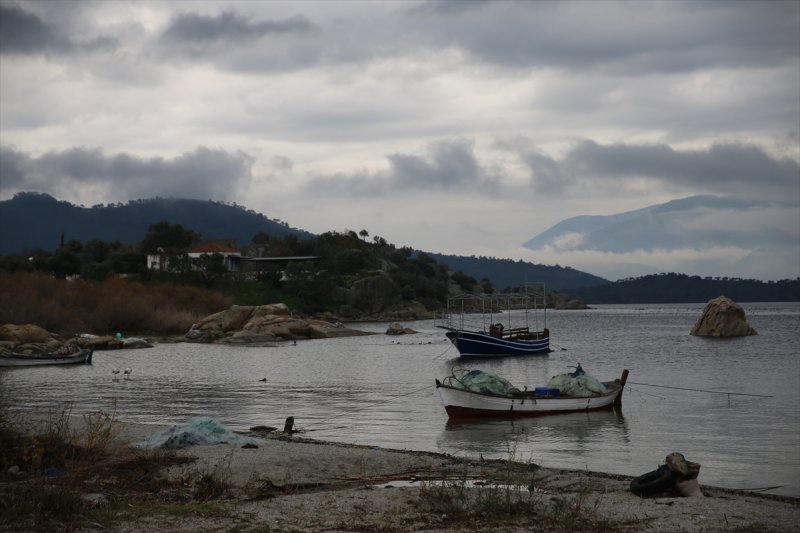 Yağışlar nedeniyle kendine gelen Bafa Gölü'nde bahar manzaraları