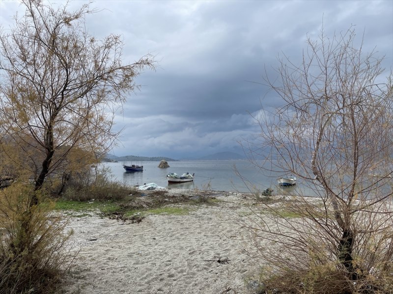 Yağışlar nedeniyle kendine gelen Bafa Gölü'nde bahar manzaraları