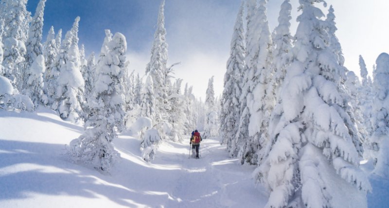 Dünyada en fazla kar yağan şehirler