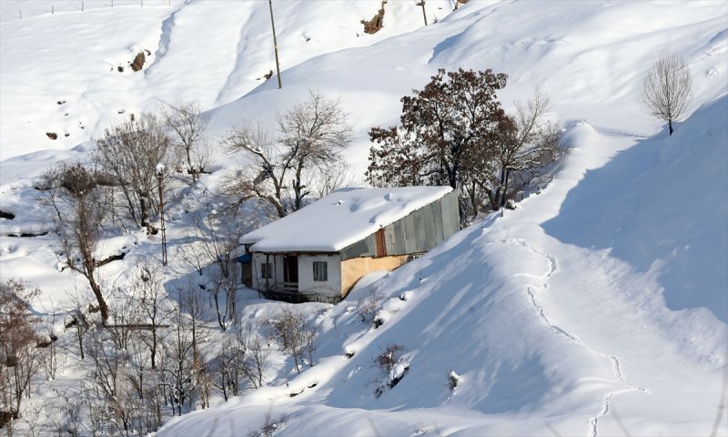Muş'ta kara gömülen evlerde hayat