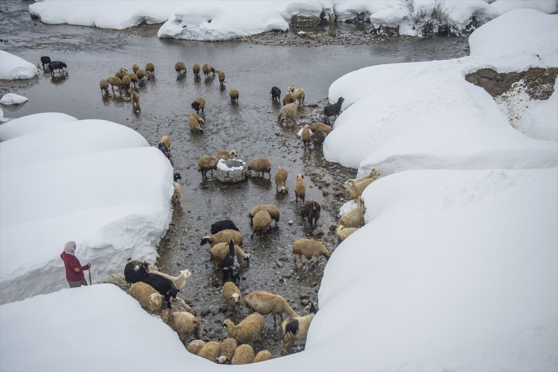Ovacık'taki çiftçilerin 2 metrelik kar bereketinden manzaralar