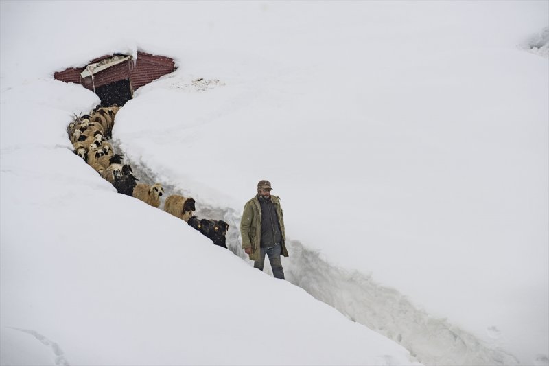 Ovacık'taki çiftçilerin 2 metrelik kar bereketinden manzaralar