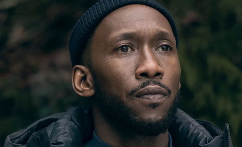 BAFTA 2022'nin adayları belli oldu